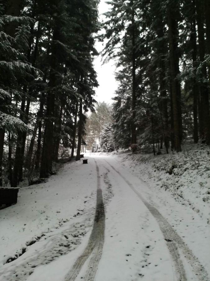 Domek Na Gorce Bieszczady Леско Экстерьер фото