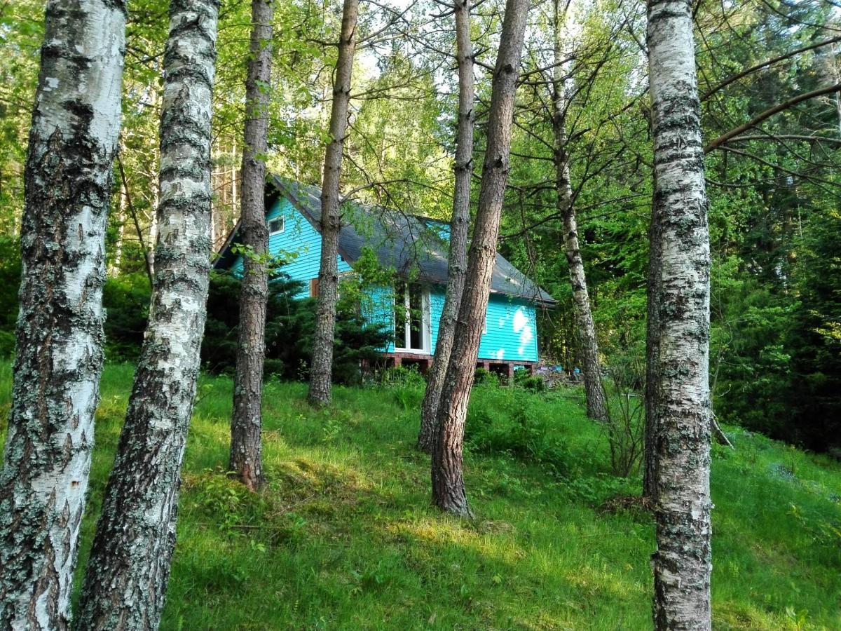Domek Na Gorce Bieszczady Леско Экстерьер фото